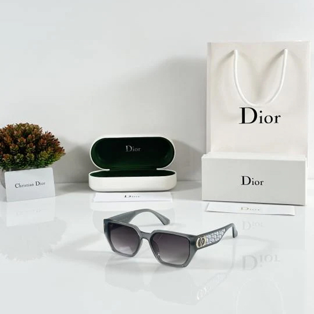 Dior WMNS 5516 Grey