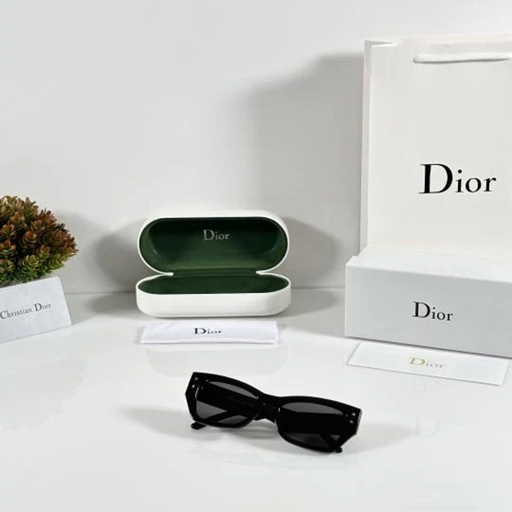 Dior WMNS 3342 Black